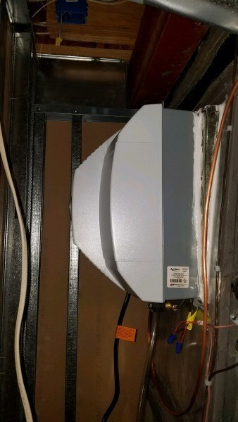 Gallery Image 11